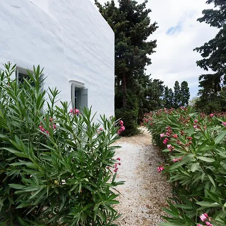 Sun Drop II With Mini Pool - Drios Beach Paros * דריוס