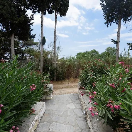 Sun Drop II With Mini Pool - Drios Beach Paros בית נופש דריוס